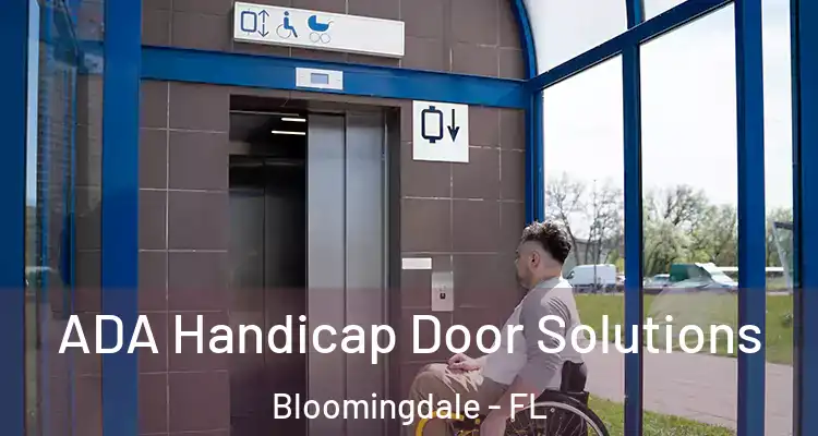  ADA Handicap Door Solutions Bloomingdale - FL