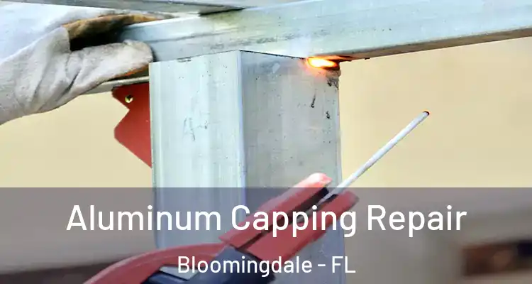  Aluminum Capping Repair Bloomingdale - FL