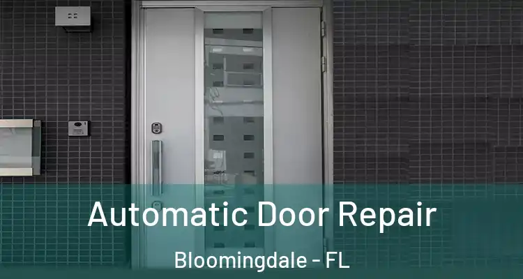  Automatic Door Repair Bloomingdale - FL