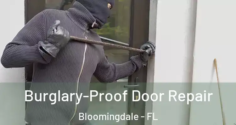  Burglary-Proof Door Repair Bloomingdale - FL