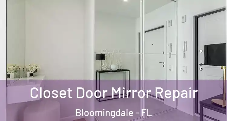  Closet Door Mirror Repair Bloomingdale - FL