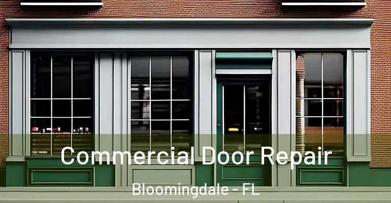  Commercial Door Repair Bloomingdale - FL
