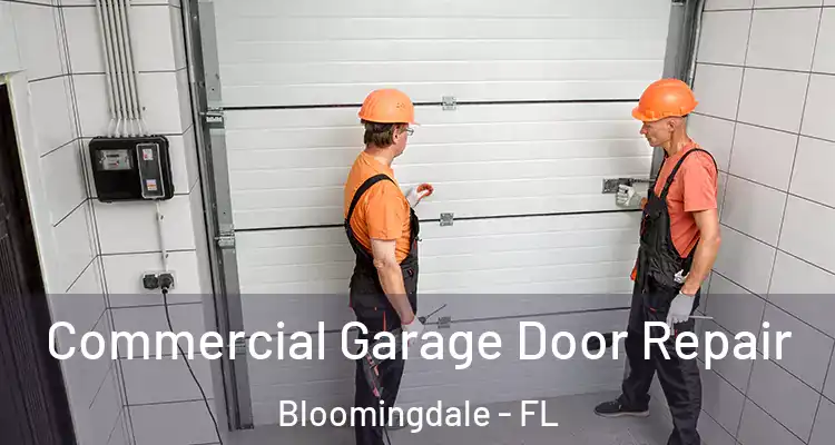  Commercial Garage Door Repair Bloomingdale - FL