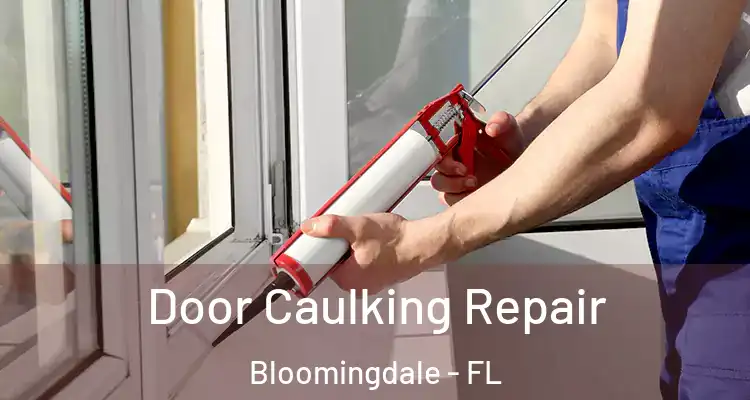  Door Caulking Repair Bloomingdale - FL