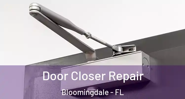  Door Closer Repair Bloomingdale - FL