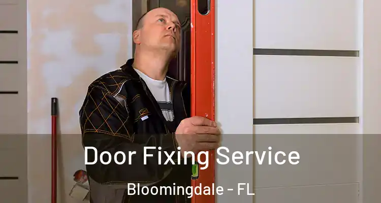  Door Fixing Service Bloomingdale - FL