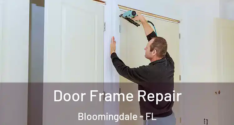  Door Frame Repair Bloomingdale - FL
