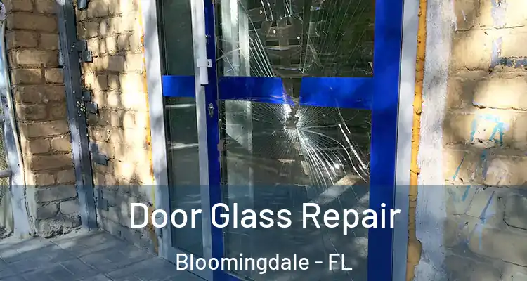  Door Glass Repair Bloomingdale - FL
