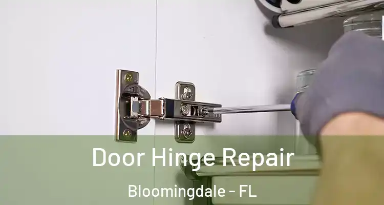  Door Hinge Repair Bloomingdale - FL