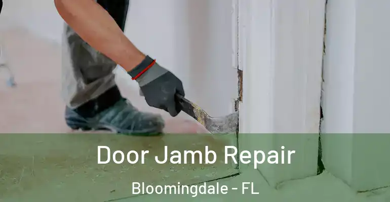  Door Jamb Repair Bloomingdale - FL