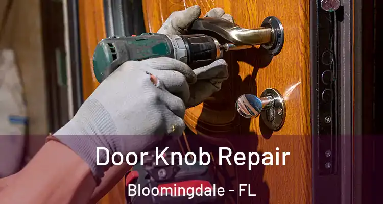  Door Knob Repair Bloomingdale - FL
