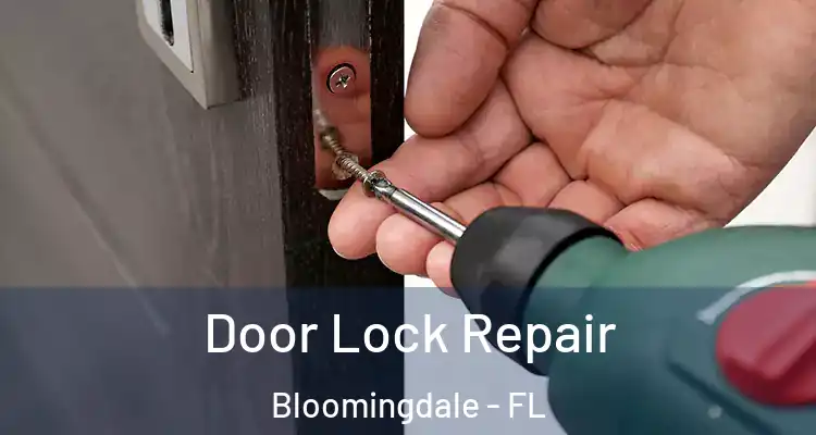  Door Lock Repair Bloomingdale - FL