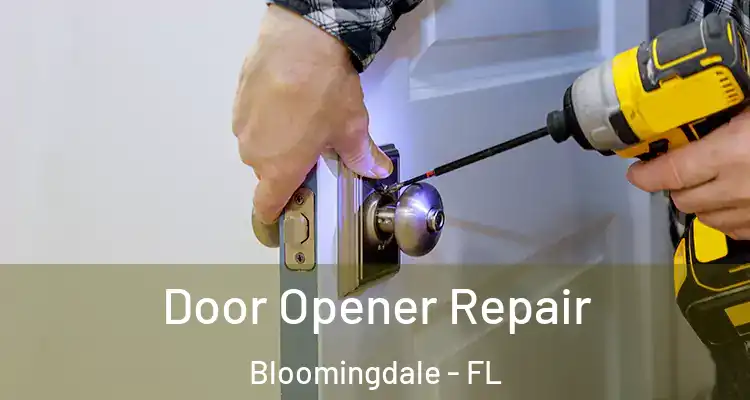  Door Opener Repair Bloomingdale - FL