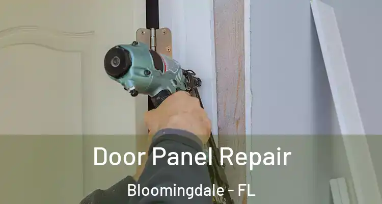  Door Panel Repair Bloomingdale - FL
