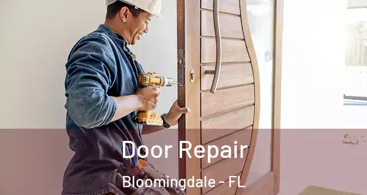  Door Repair Bloomingdale - FL