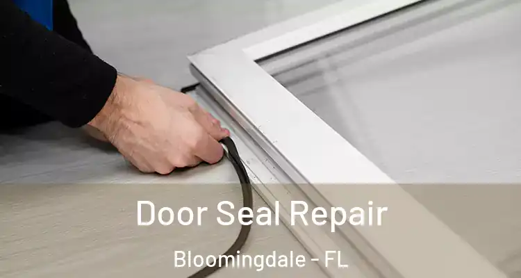  Door Seal Repair Bloomingdale - FL