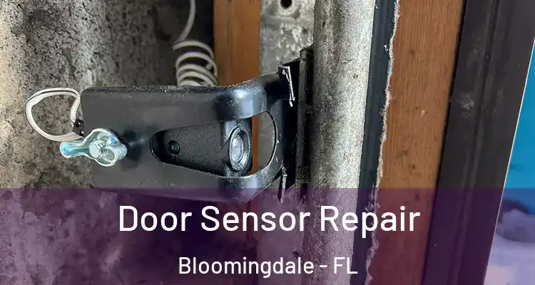  Door Sensor Repair Bloomingdale - FL