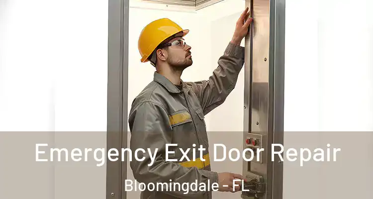  Emergency Exit Door Repair Bloomingdale - FL