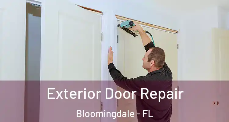  Exterior Door Repair Bloomingdale - FL