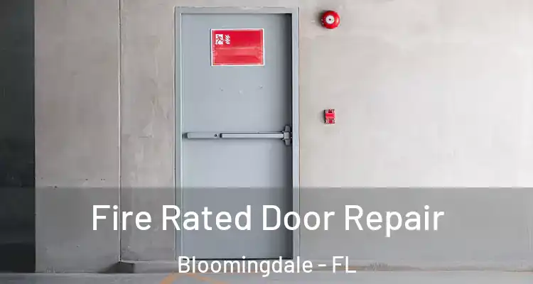  Fire Rated Door Repair Bloomingdale - FL