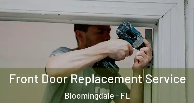  Front Door Replacement Service Bloomingdale - FL