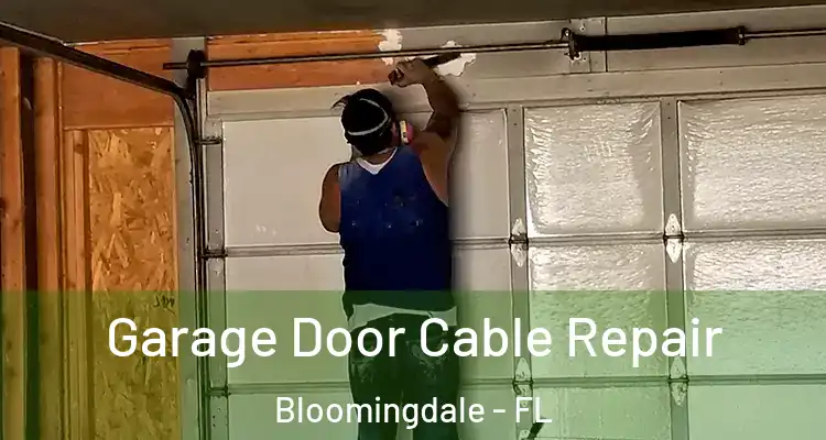  Garage Door Cable Repair Bloomingdale - FL