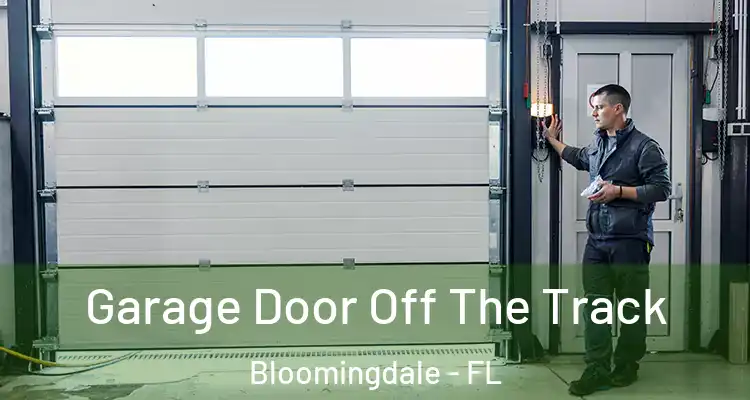  Garage Door Off The Track Bloomingdale - FL