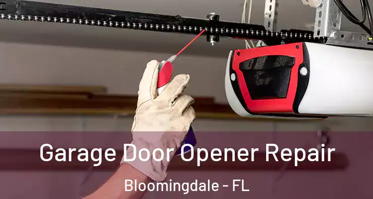  Garage Door Opener Repair Bloomingdale - FL