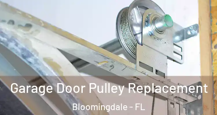  Garage Door Pulley Replacement Bloomingdale - FL