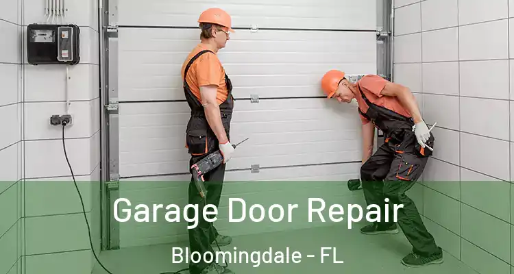  Garage Door Repair Bloomingdale - FL
