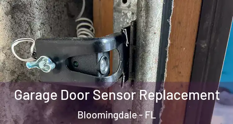  Garage Door Sensor Replacement Bloomingdale - FL