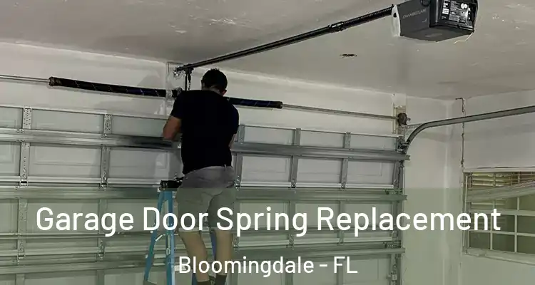  Garage Door Spring Replacement Bloomingdale - FL
