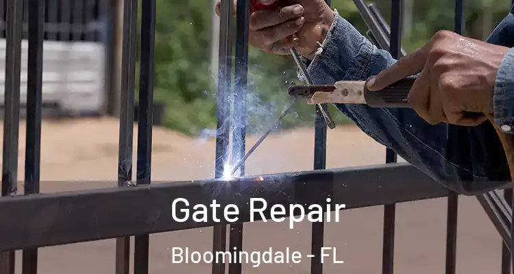  Gate Repair Bloomingdale - FL