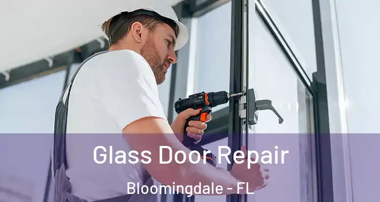  Glass Door Repair Bloomingdale - FL