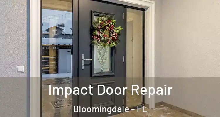  Impact Door Repair Bloomingdale - FL