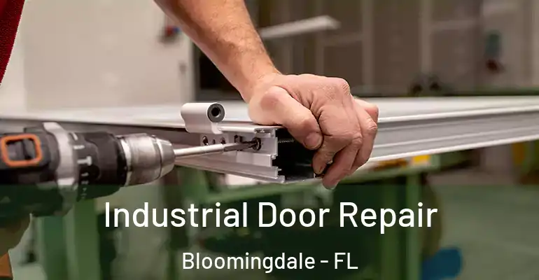  Industrial Door Repair Bloomingdale - FL