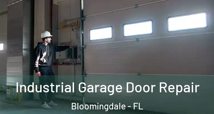  Industrial Garage Door Repair Bloomingdale - FL