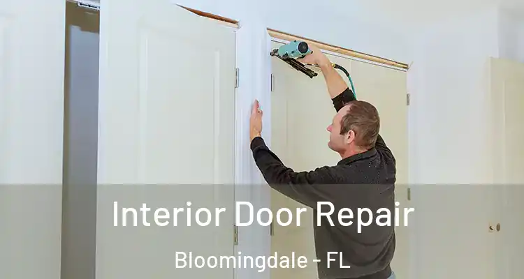  Interior Door Repair Bloomingdale - FL