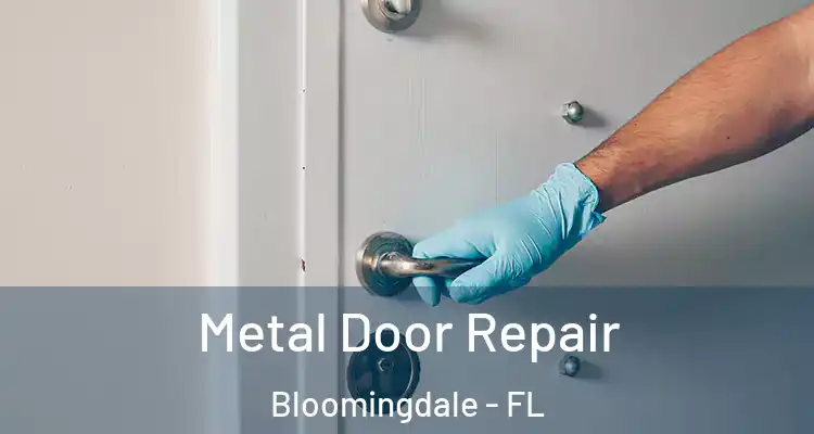  Metal Door Repair Bloomingdale - FL