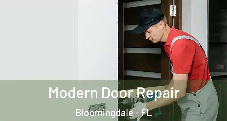  Modern Door Repair Bloomingdale - FL