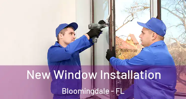  New Window Installation Bloomingdale - FL