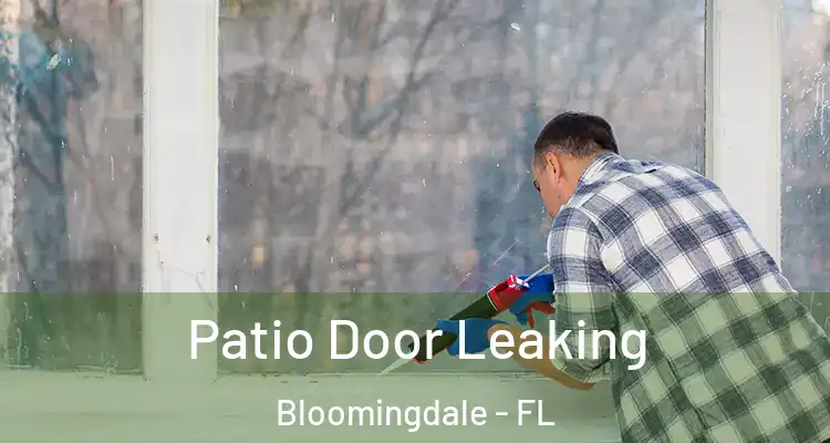  Patio Door Leaking Bloomingdale - FL