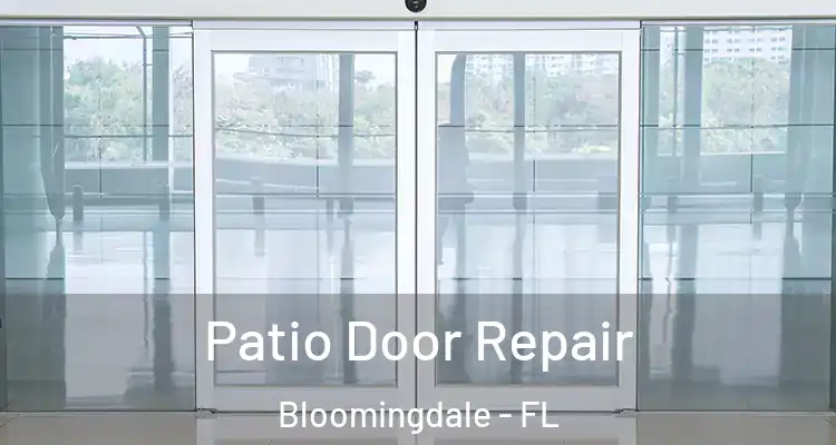  Patio Door Repair Bloomingdale - FL