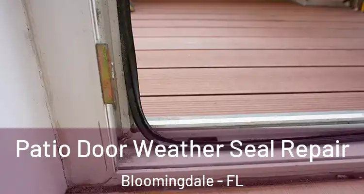  Patio Door Weather Seal Repair Bloomingdale - FL