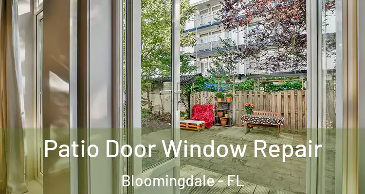  Patio Door Window Repair Bloomingdale - FL