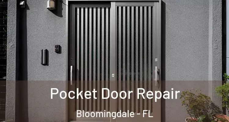  Pocket Door Repair Bloomingdale - FL