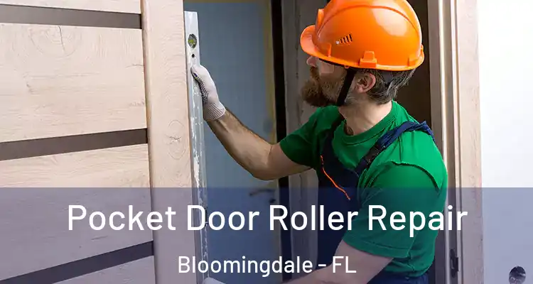  Pocket Door Roller Repair Bloomingdale - FL