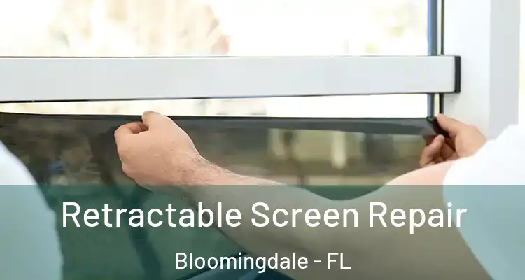  Retractable Screen Repair Bloomingdale - FL