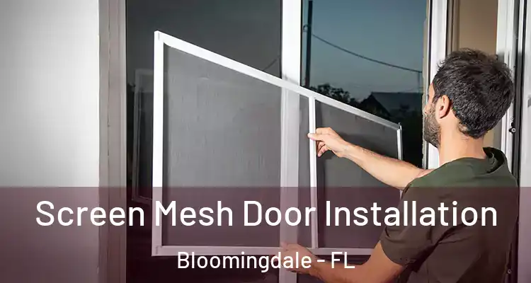  Screen Mesh Door Installation Bloomingdale - FL