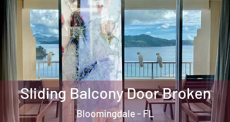  Sliding Balcony Door Broken Bloomingdale - FL